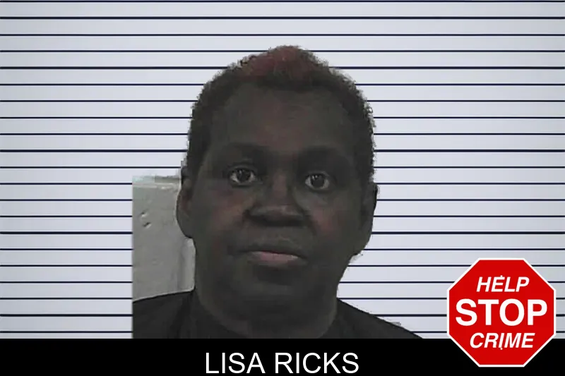 Lisa Ricks mugshot
