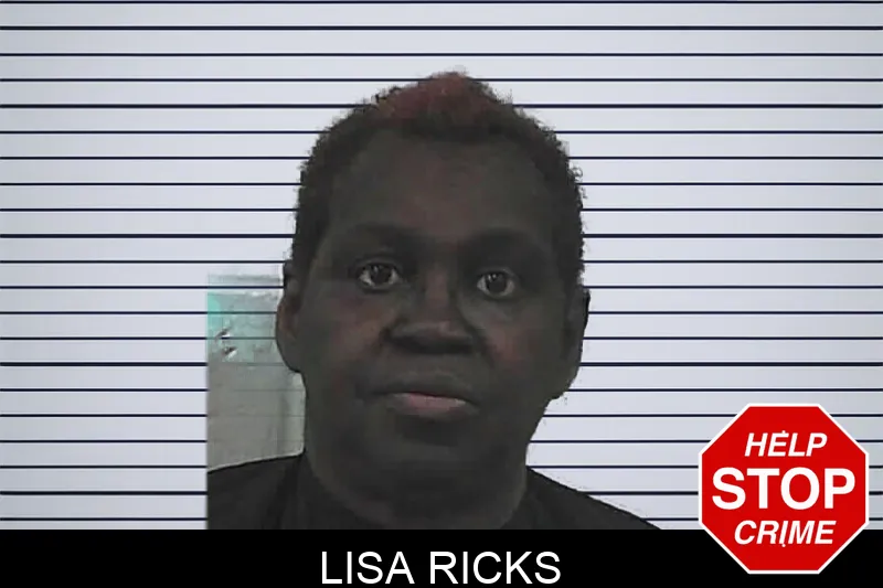 Lisa Ricks mugshot – Butts County , Georgia Lisa Ricks mugshot