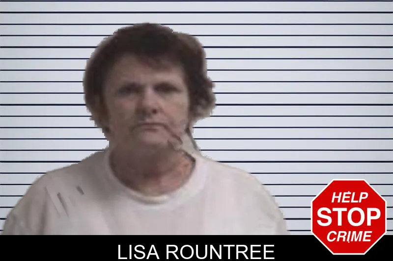 Lisa Rountree mugshot