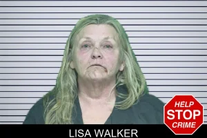Lisa Walker mugshot
