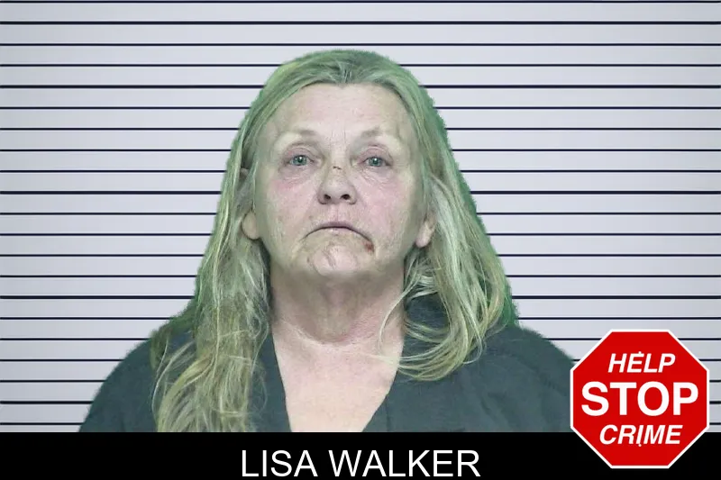 Lisa Walker mugshot