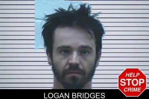 Logan Bridges mugshot