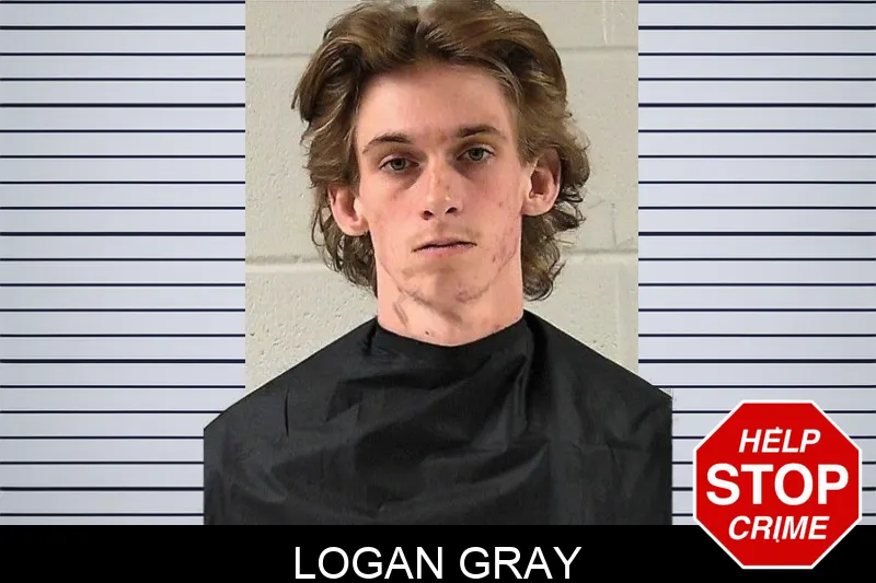 Logan Gray mugshot – Elbert County , Georgia Logan Gray mugshot