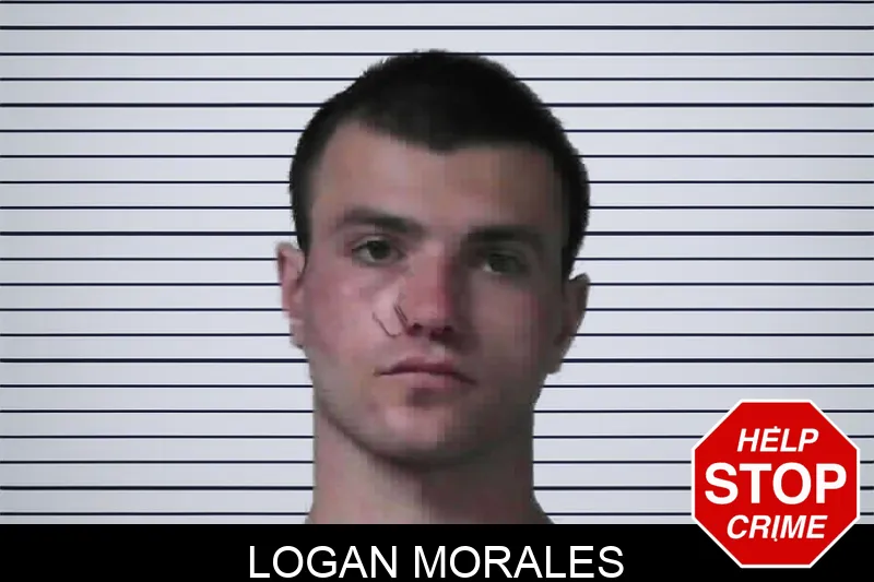 Logan Morales mugshot