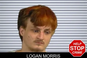 Logan Morris mugshot