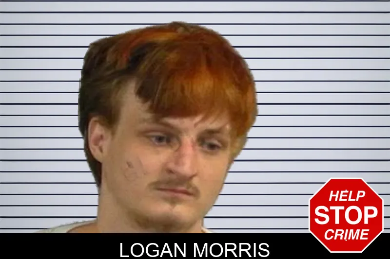 Logan Morris mugshot