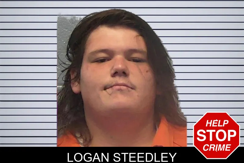 Logan Steedley mugshot