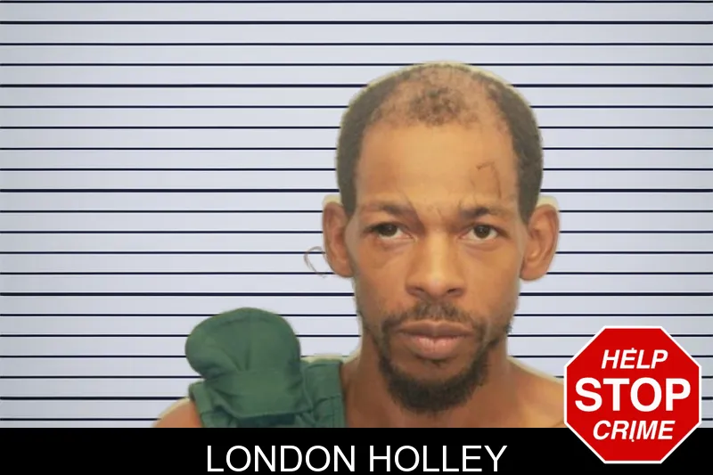 London Holley mugshot