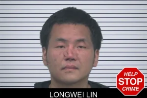 Longwei Lin mugshot