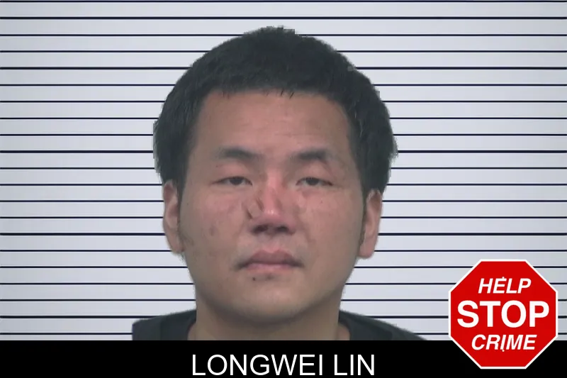 Longwei Lin mugshot