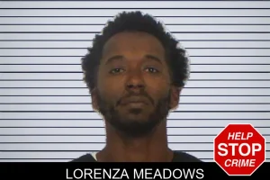Lorenza Meadows mugshot