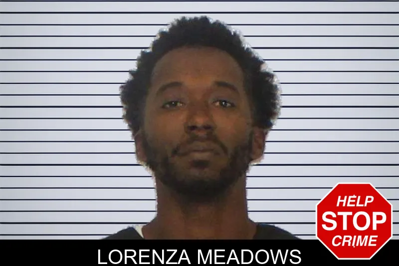 Lorenza Meadows mugshot