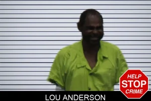 Lou Anderson mugshot