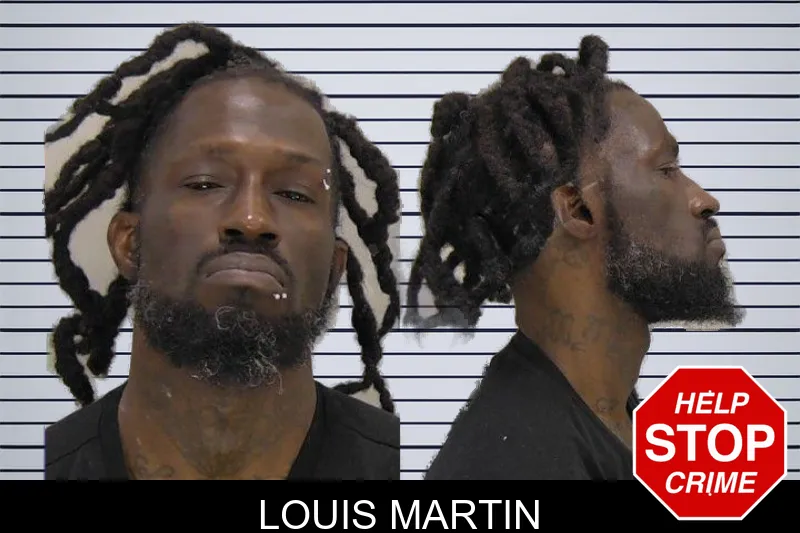 Louis Martin mugshot