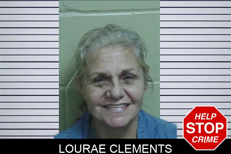 Lourae Clements mugshot