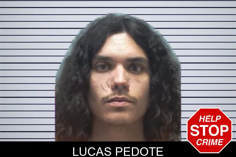 Lucas Pedote mugshot