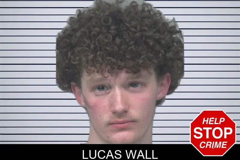 Lucas Wall mugshot