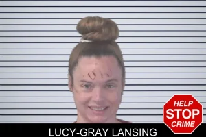 Lucy-Gray Lansing mugshot
