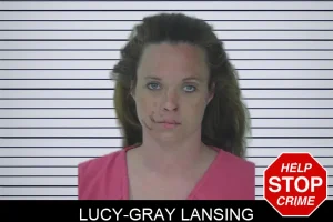 Lucy-Gray Lansing mugshot