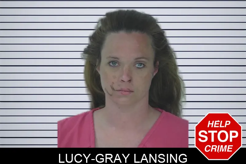 Lucy-Gray Lansing mugshot