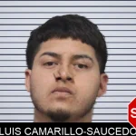 Luis Camarillo-Saucedo mugshot