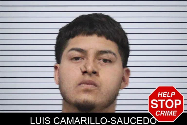 Luis Camarillo-Saucedo mugshot – White County , Georgia Luis Camarillo-Saucedo