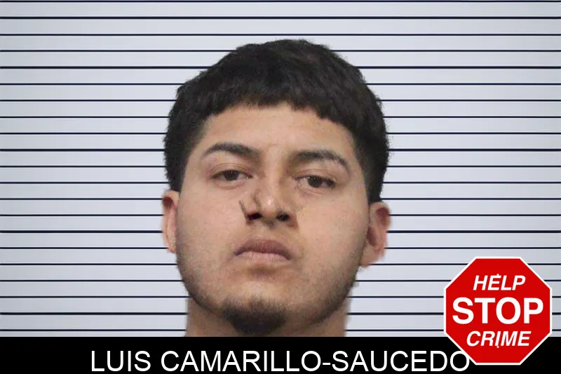 Luis Camarillo-Saucedo mugshot