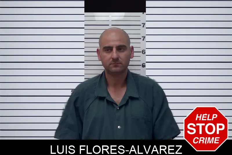 Luis Flores-Alvarez mugshot