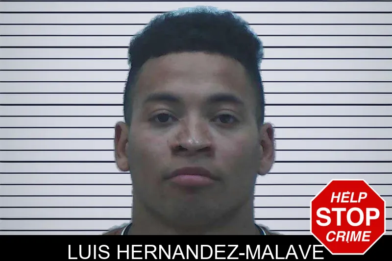 Luis Hernandez-Malave mugshot