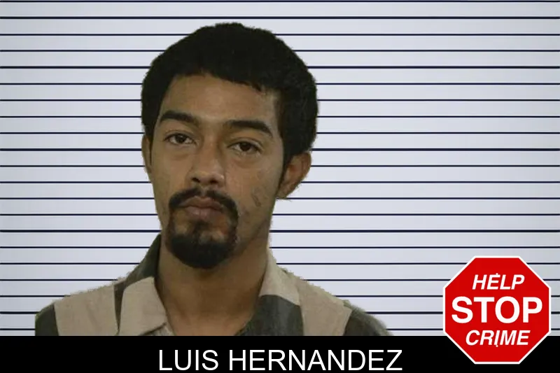 Luis Hernandez mugshot