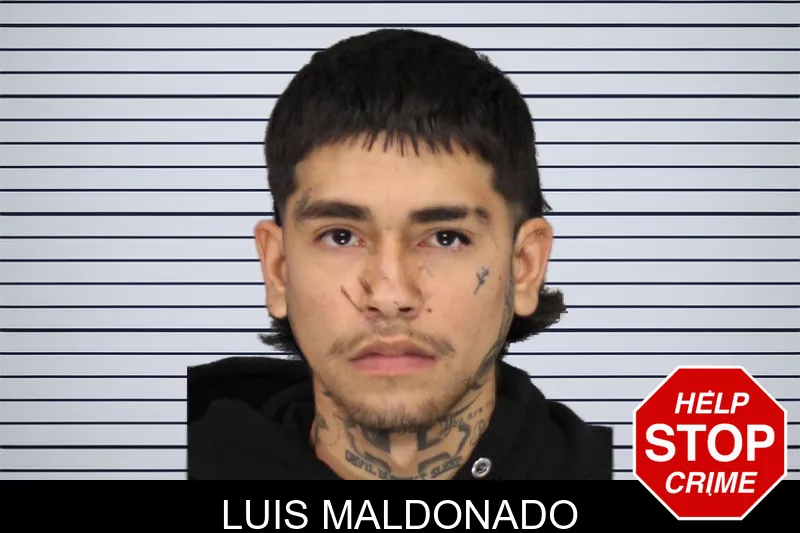 Luis Maldonado mugshot