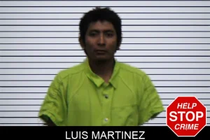 Luis Martinez mugshot