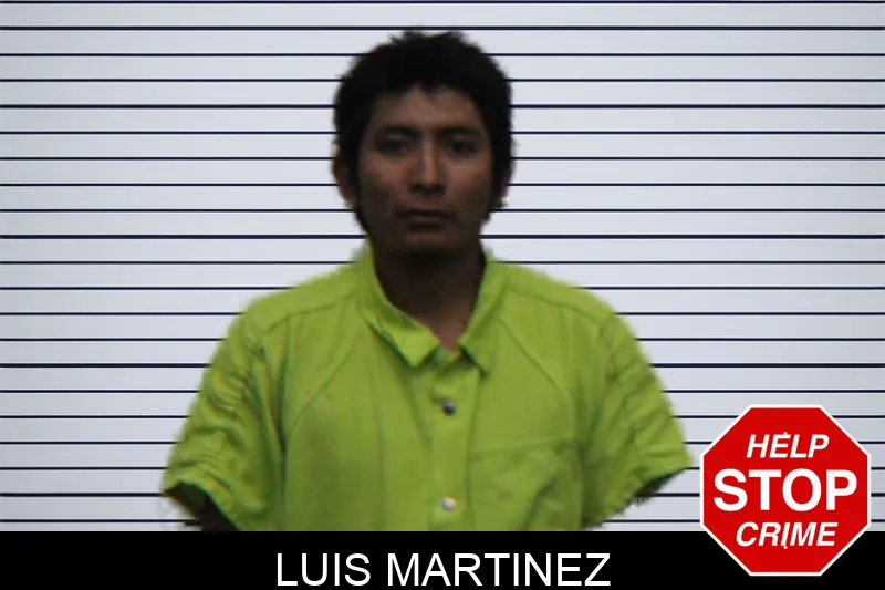 Luis Martinez mugshot