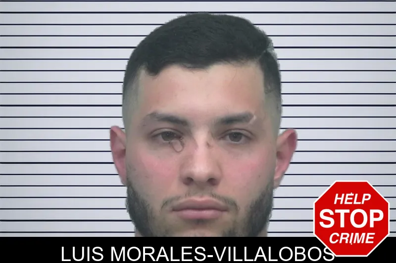 Luis Morales-Villalobos mugshot