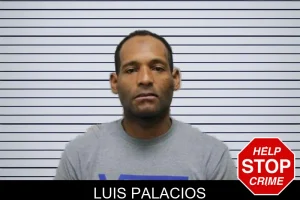 Luis Palacios mugshot
