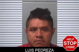 Luis Pedreza mugshot
