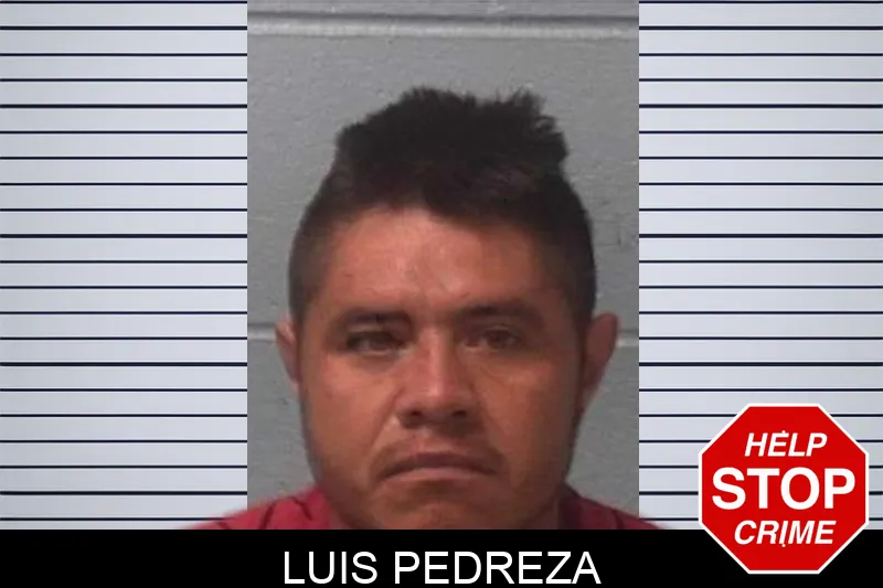 Luis Pedreza mugshot