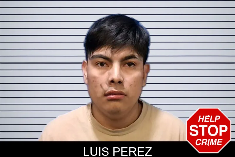 Luis Perez mugshot