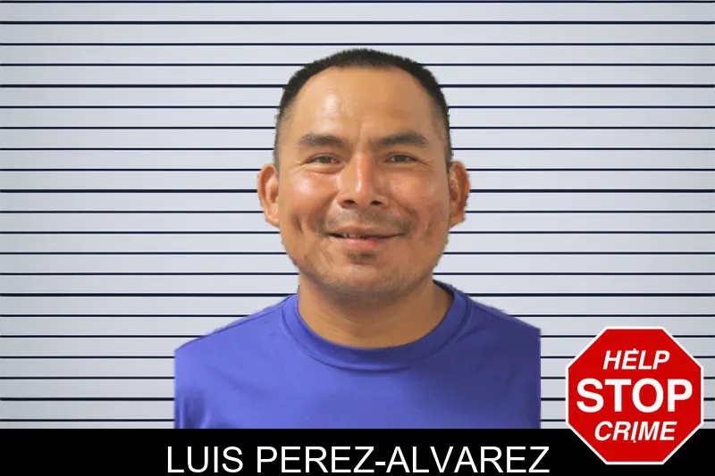 Luis Perez-Alvarez mugshot