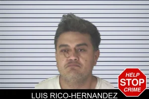 Luis Rico-Hernandez mugshot