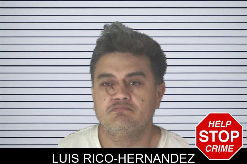Luis Rico-Hernandez mugshot