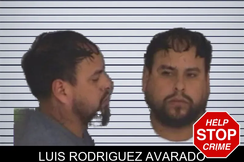 Luis Rodriguez Avarado mugshot
