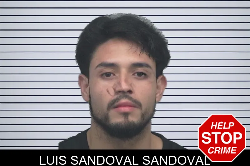 Luis Sandoval Sandoval mugshot
