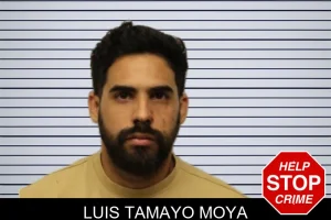 Luis Tamayo Moya mugshot