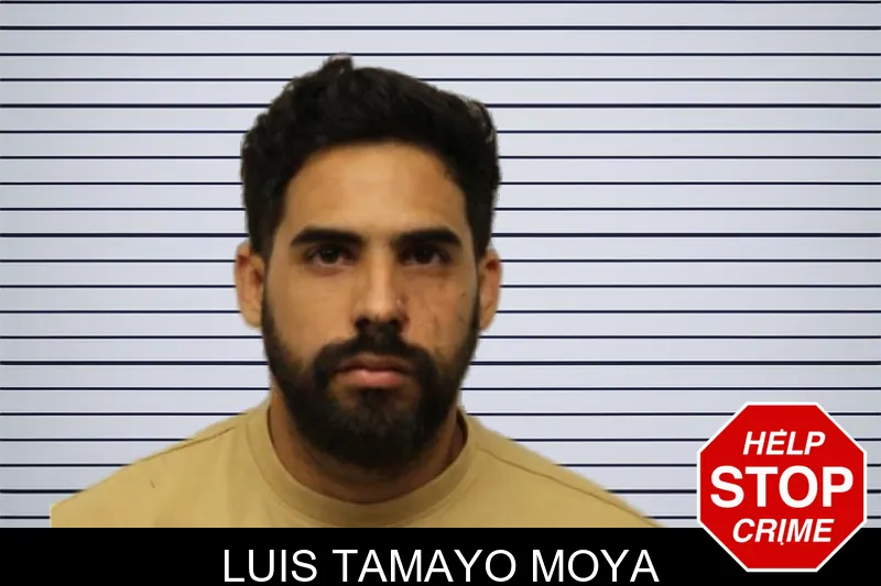 Luis Tamayo Moya mugshot