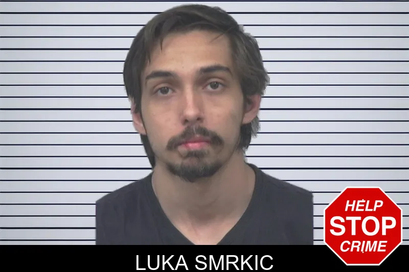 Luka Smrkic mugshot