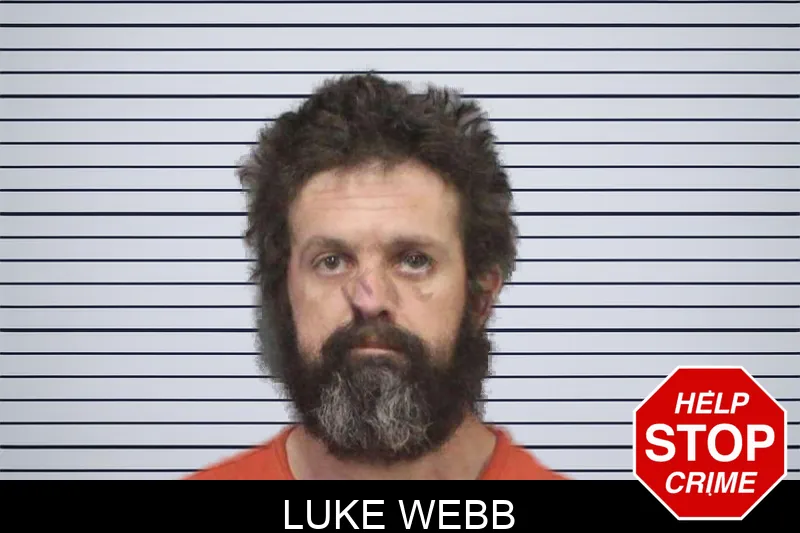 Luke Webb mugshot