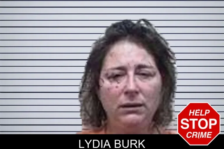 Lydia Burk mugshot – Tattnall County , Georgia Lydia Burk