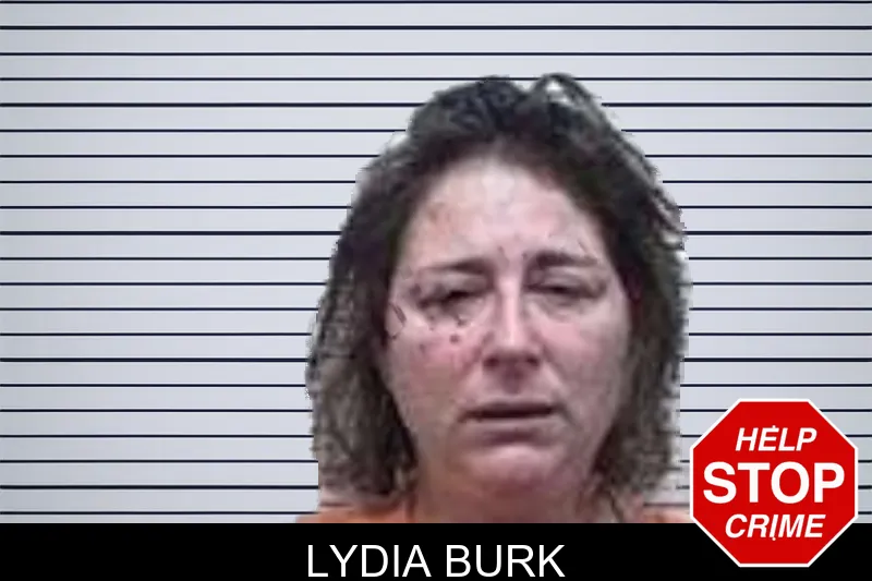 Lydia Burk mugshot
