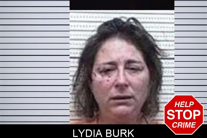 Lydia Burk mugshot – Tattnall County , Georgia Lydia Burk mugshot